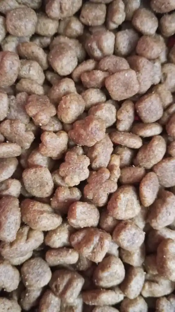 Dog Chow Adulto Mediano Grande