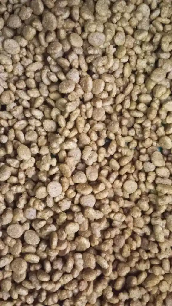 Dog Chow Cachorro Raza Pequeña