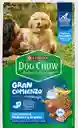 Dog Chow Cachorro Mediano Grande