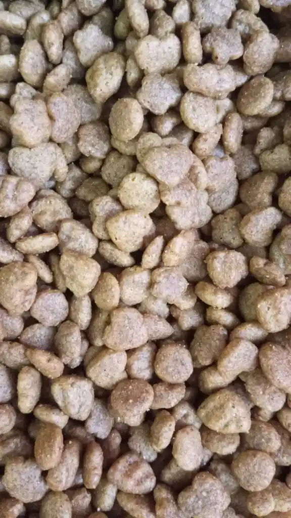 Dog Chow Cachorro Mediano Grande
