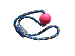 Juguete Tug Lazo Con Pelota Para Perro