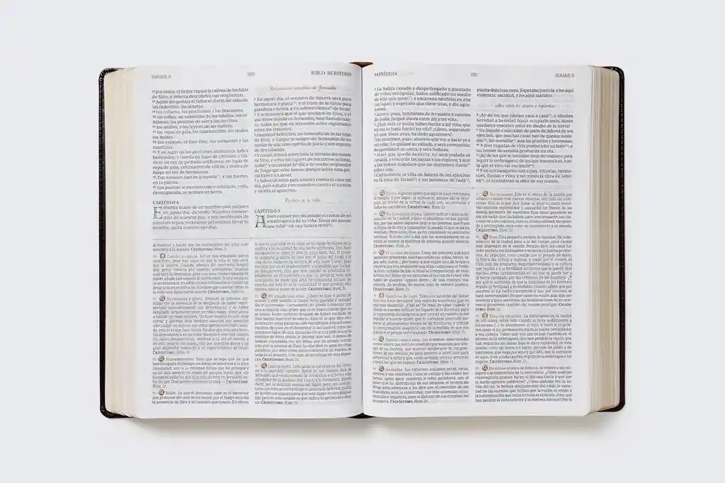 Biblia De Estudio Patrística Rvr – Piel Café