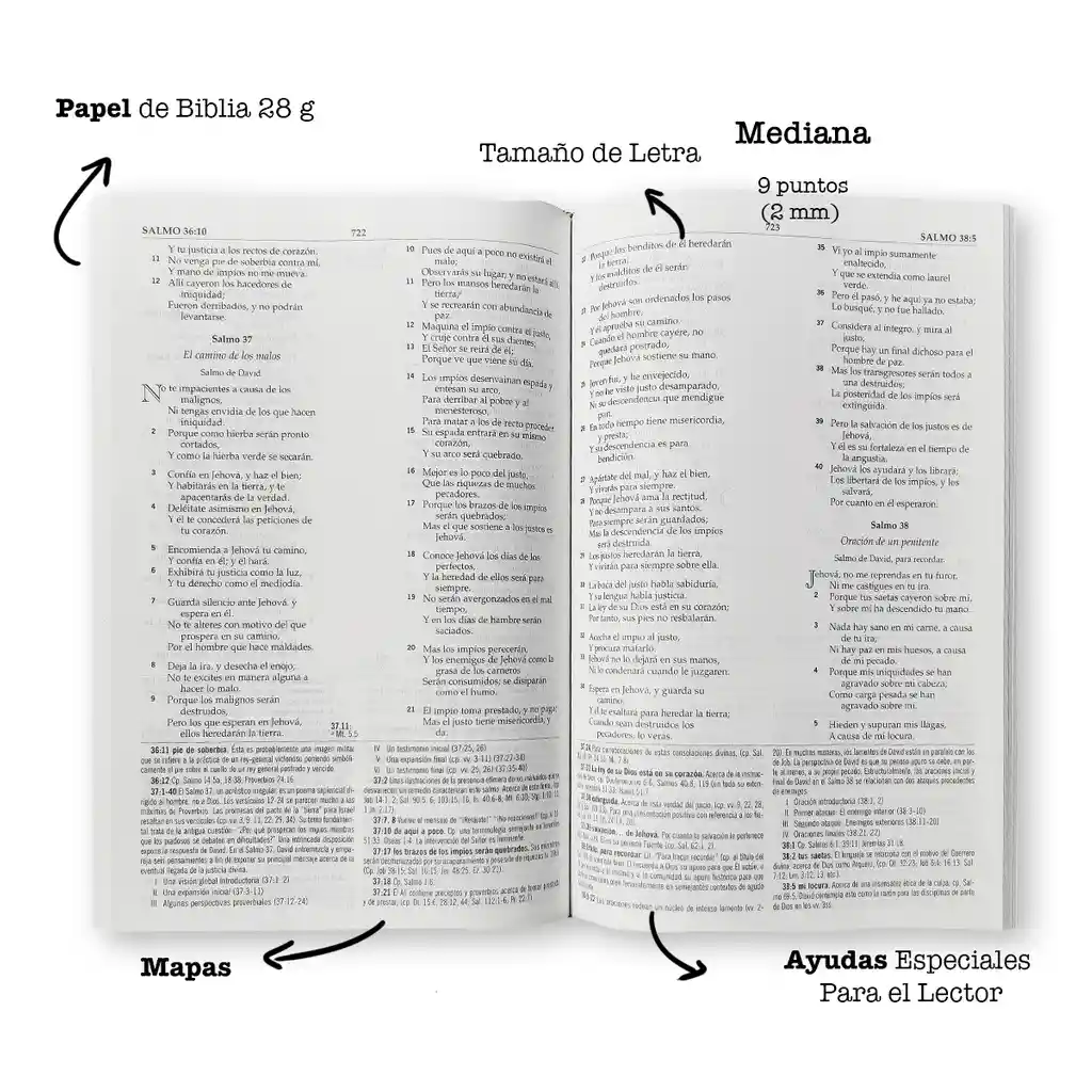 Biblia De Estudio Macarthur Reina Valera 1960 Tapa Dura