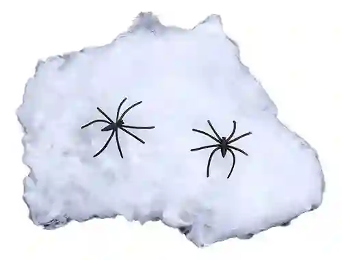 Telaraña Pequeña