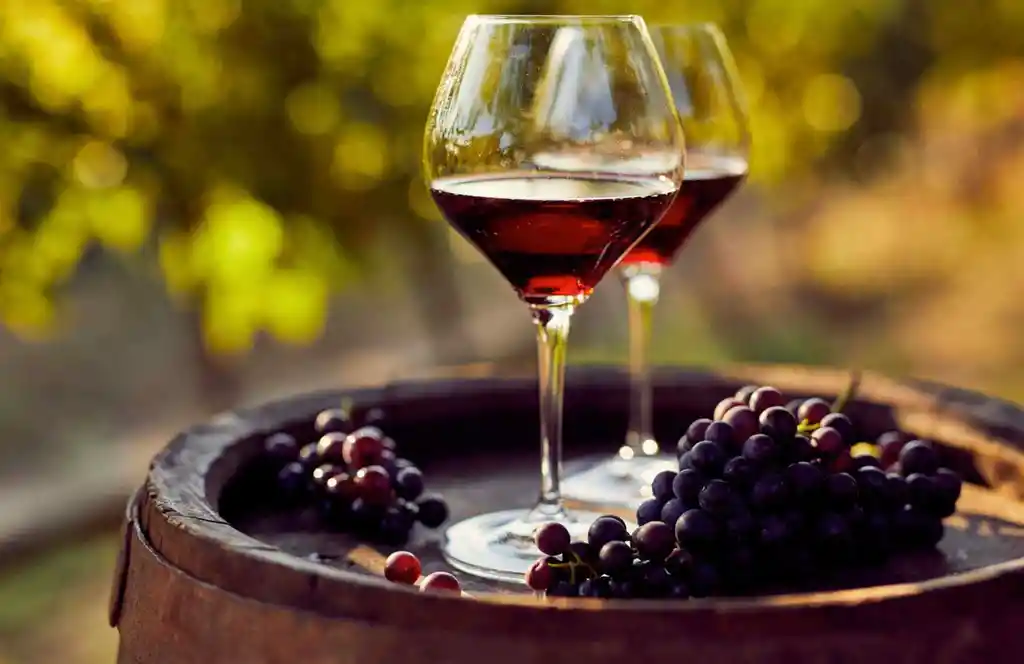 Vino Ibañez Vendimia Nocturna Merlot Syrah 750ml