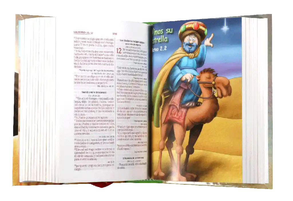 Biblia Reina Valera 1960 Amigos Por Siempre Pequeña -tapa Dura