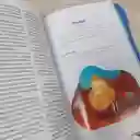 Biblia Sé Un Héroe Niño Azul Tla Cierre Letra Grande