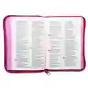 Biblia Valientes Con Jesús Con Cierre Rosada Dios Habla Hoy Dhh Católica