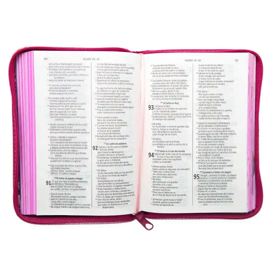 Biblia Valientes Con Jesús Con Cierre Rosada Dios Habla Hoy Dhh Católica