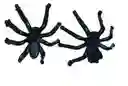 Hallo Araña Paquete X 30 Negra
