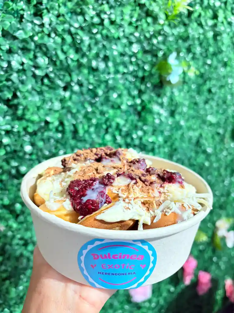 Mini Donitas X 24 Und