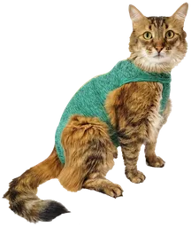 Faja Post Quirurgica Cirugias Abdominales Dry Ligth Para Gato Macho Y Hembra Verde Talla 5 Pacientes 7 A 9 Kg
