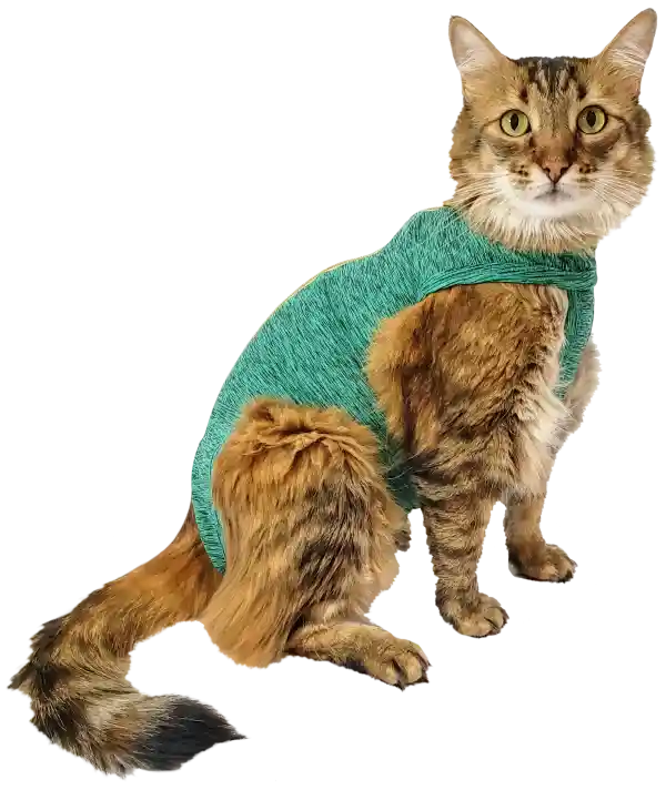 Faja Post Quirurgica Cirugias Abdominales Dry Ligth Para Gato Macho Y Hembra Verde Talla 5 Pacientes 7 A 9 Kg