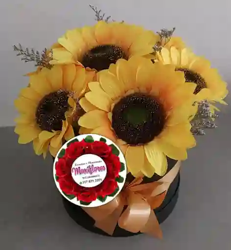 Caja Con Girasoles Preservados