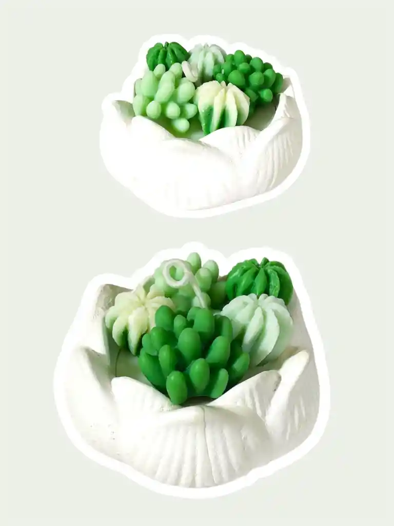 Jardin De Cactus En Flor De Loto - Regalo Cumpleaños - Regalos De Amor Y Amistad			