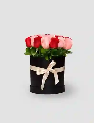 Caja Circular De Rosas Mix