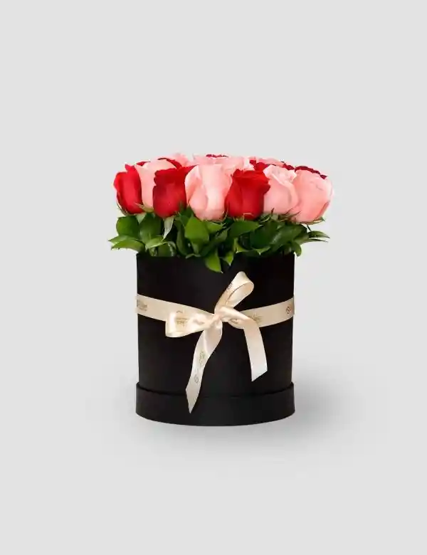 Caja Circular De Rosas Mix