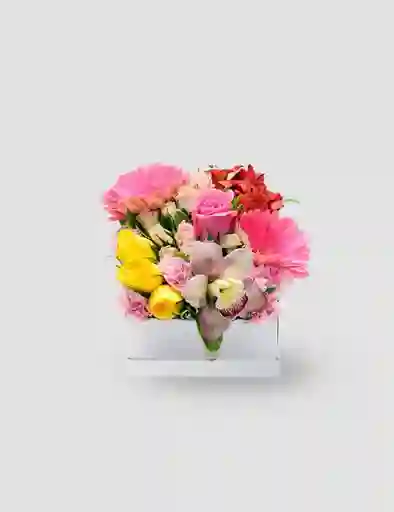 Caja Cuadrada De Flores Mix