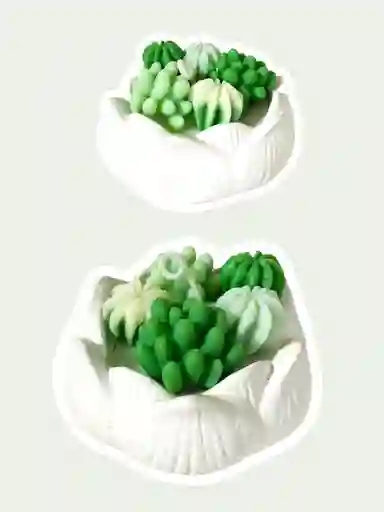 Jardin De Cactus En Flor De Loto - Regalo Cumpleaños - Regalos De Amor Y Amistad			
