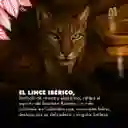 Bourbon Rosado Honey 2,5kg Grano