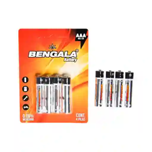 Bateria Pila Carbon Aaa X4