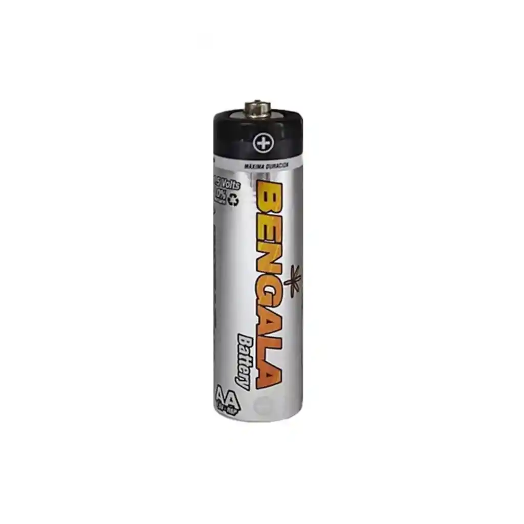 Bateria Pila Carbon Aa X4