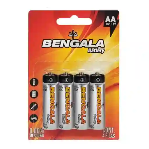 Bateria Pila Carbon Aa X4