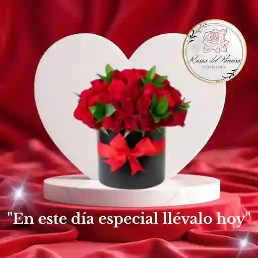 Rosas Rojas Pasión ❤️