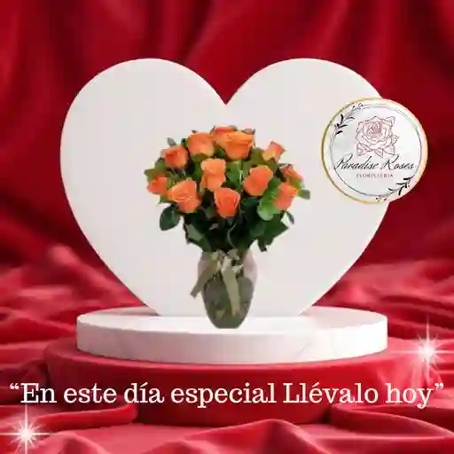 Brillo Naranja