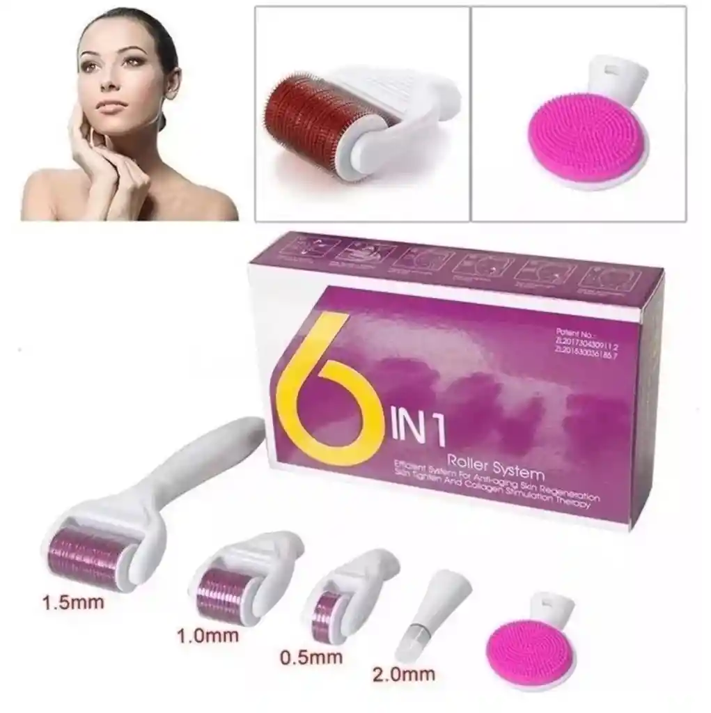 Derma Roller Facial 6 En 1 Con Estuche