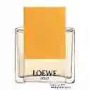 Perfume Loewe Original Solo Mujer 50ml