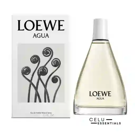 Perfume Loewe Original Agua Mujer 100ml