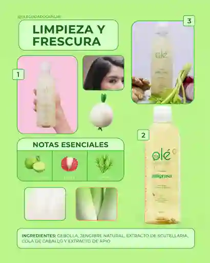 Shampoo Anti Grasa Olé Capilar