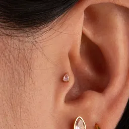 Piercing Amaral / Dorado