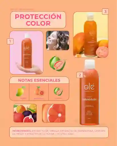 Shampoo Antioxidante Olé Capilar