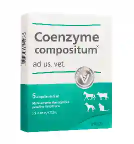 Coenzyme-compositum Vet Caja X 5 Amp.