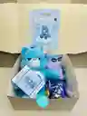 Regalo Detalle Sorpresa De Peluche Cariñosito