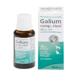 Galium Vet Heel Gotas