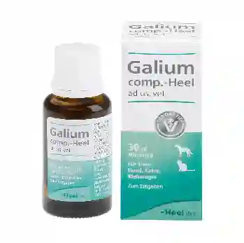 Galium Vet Heel Gotas