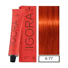Igora Royal 6-77 Rubio Oscuro Cobrizo Intenso 60 Ml + Oxigenta