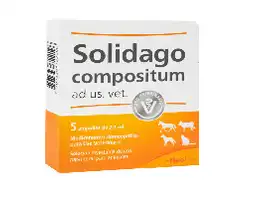 Solidago-compositum Ad Vet Caja X 5 Amp.