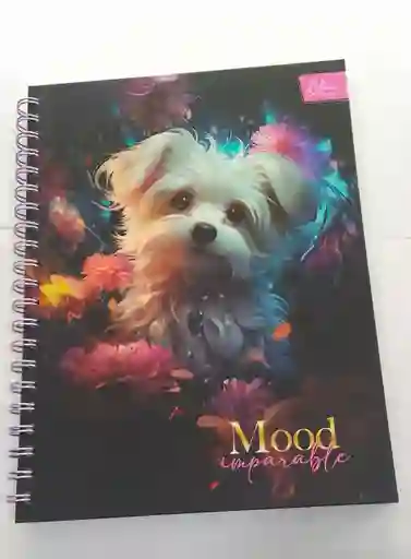 Cuaderno Argollado Pasta Dura 105 80 Hojas