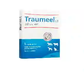 Traumeel Vet Especialidad Caja X 5 Ampollas