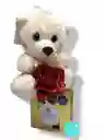 Regalo Detalle Sorpresa De Feliz Día Ferrero, Flor Y Oso