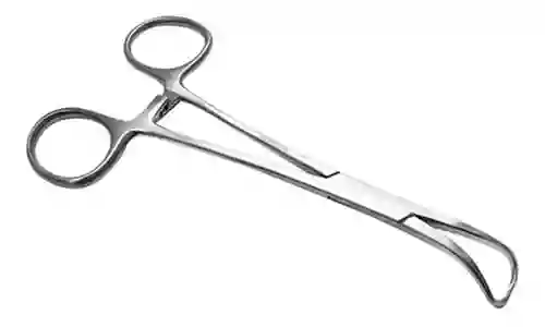 Pinza De Campo Backhaus