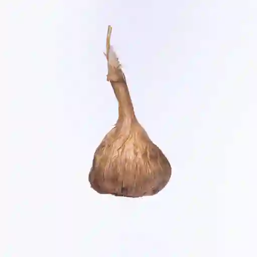 Ajo Negro