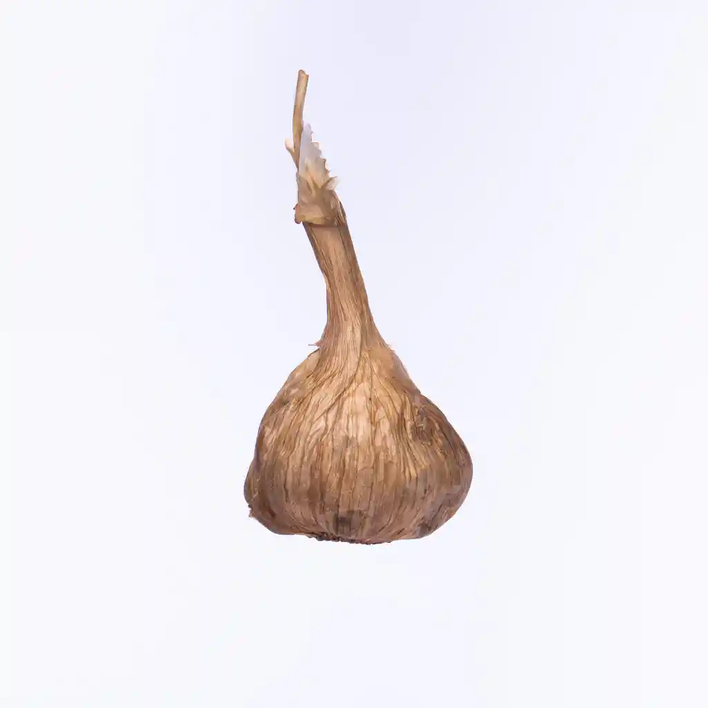 Ajo Negro