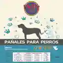 Pañal Macho Talla Xl Paquete Por 24 Und