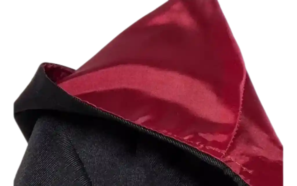 Capa Harry Potter Casa Gryffindor