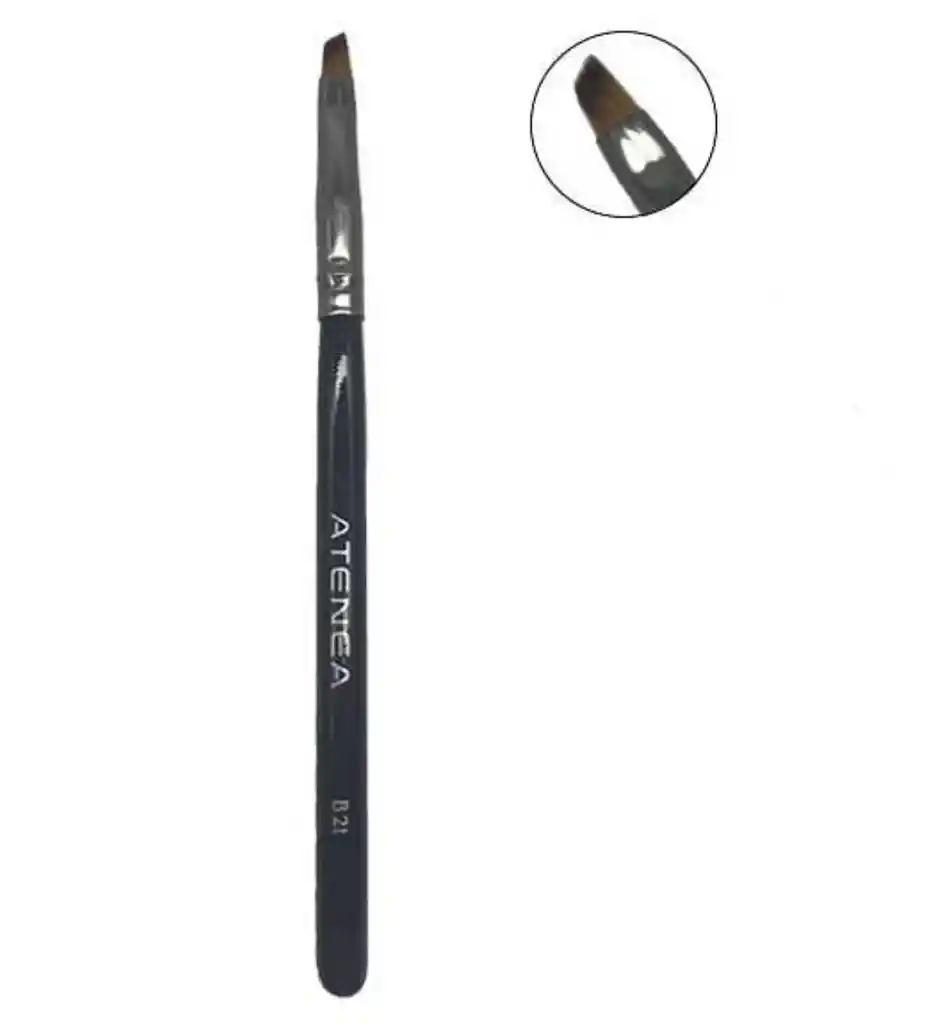 Brocha De Atenea Rf:b21